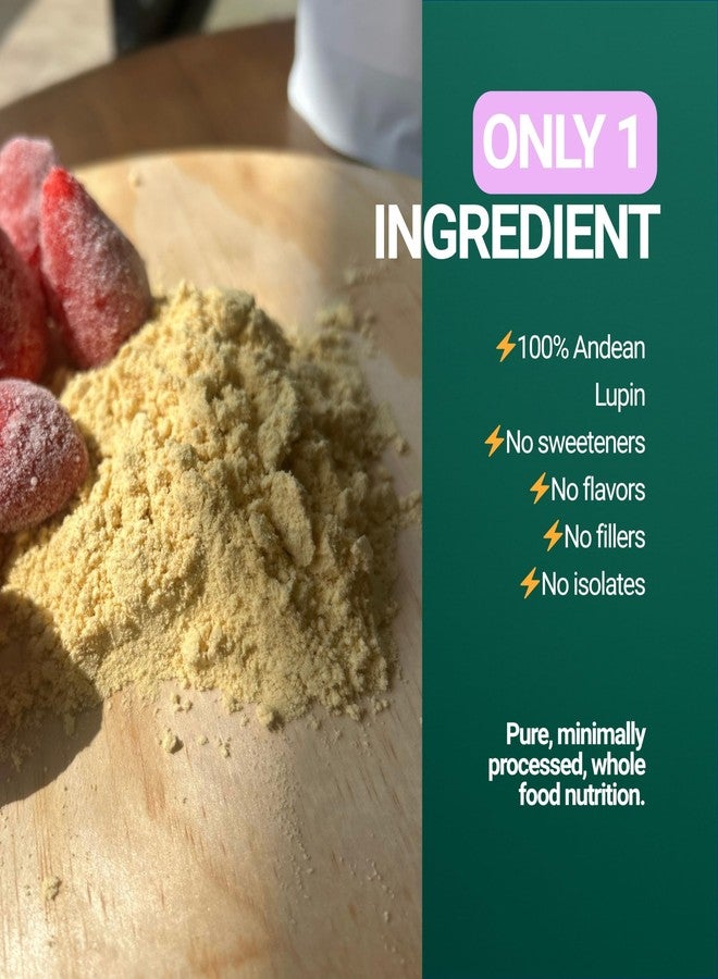 SEED Chocho Pure Plant-Based Protein Powder, Gluten Free, Dairy Free, Soy Free, Non-GMO, 17.6 oz - Image 4